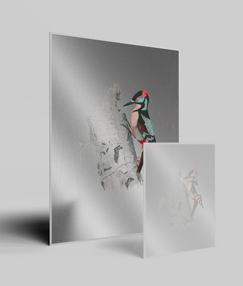Picchio Vintage - Quadro di Design
