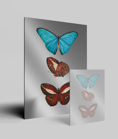 Farfalle Vintage V.1 - Quadro di Design