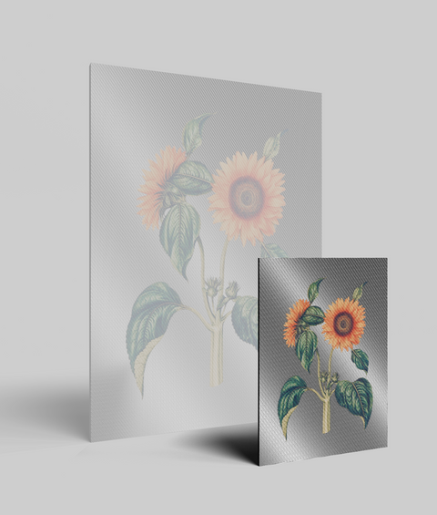 Girasole Vintage - Quadro di Design