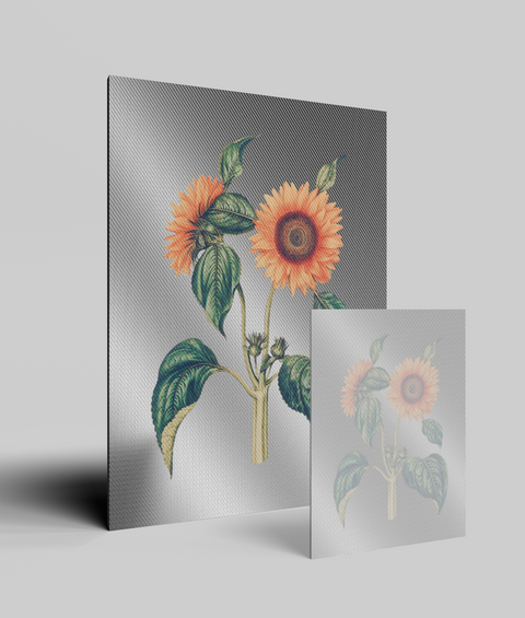 Girasole Vintage - Quadro di Design