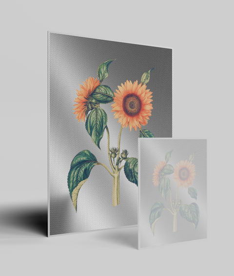 Girasole Vintage - Quadro di Design