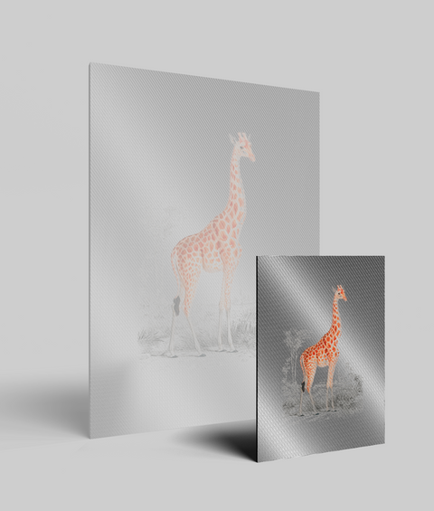Giraffa Vintage - Quadro di Design