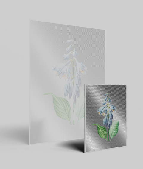 Hosta Vintage - Quadro di Design