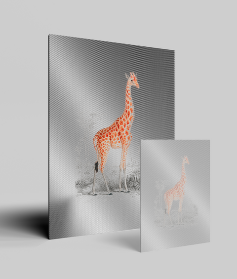 Giraffa Vintage - Quadro di Design