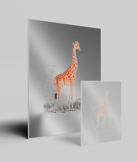 Giraffa Vintage - Quadro di Design