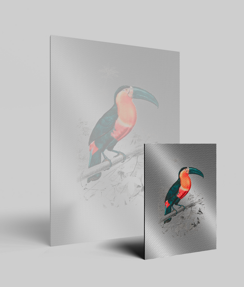 Tucano Vintage - Quadro di Design