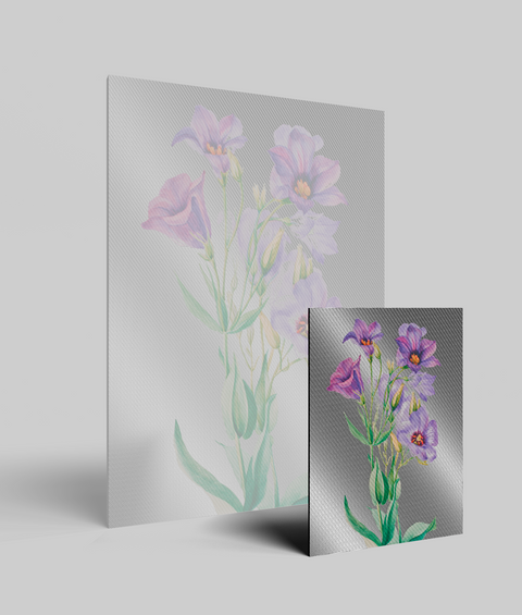 Lisianthus Vintage - Quadro di Design