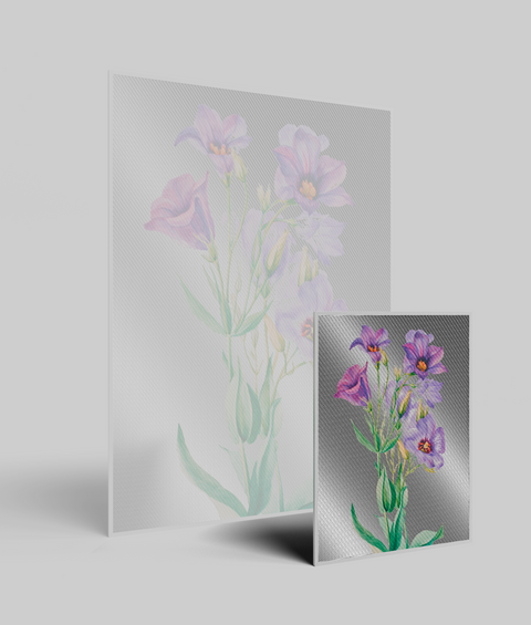 Lisianthus Vintage - Quadro di Design
