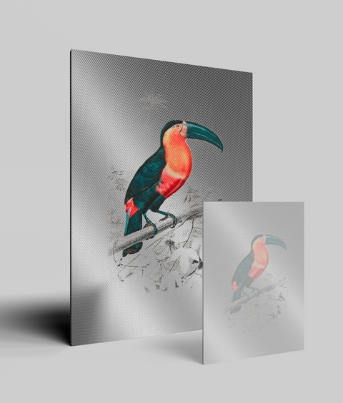Tucano Vintage - Quadro di Design