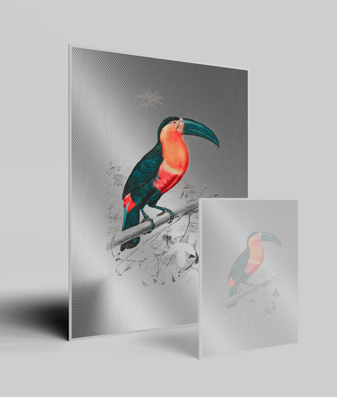 Tucano Vintage - Quadro di Design