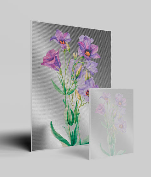 Lisianthus Vintage - Quadro di Design