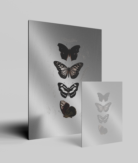 Farfalla Vintage - Quadro di Design