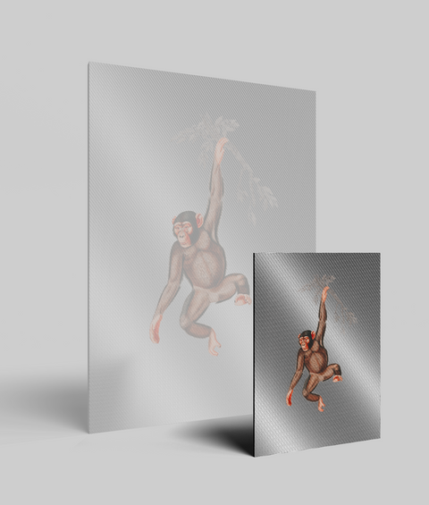 Scimmia Vintage - Quadro di Design