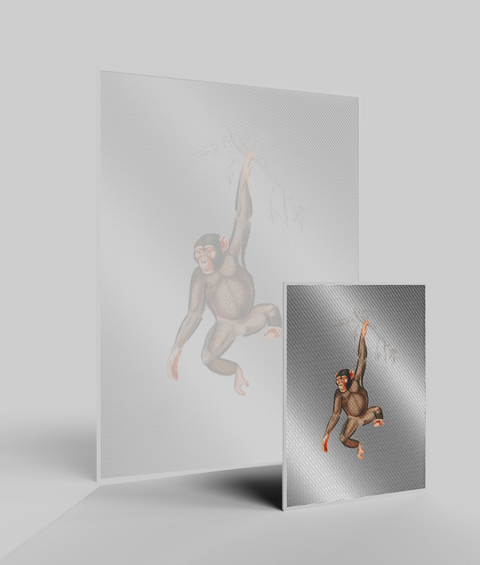Scimmia Vintage - Quadro di Design
