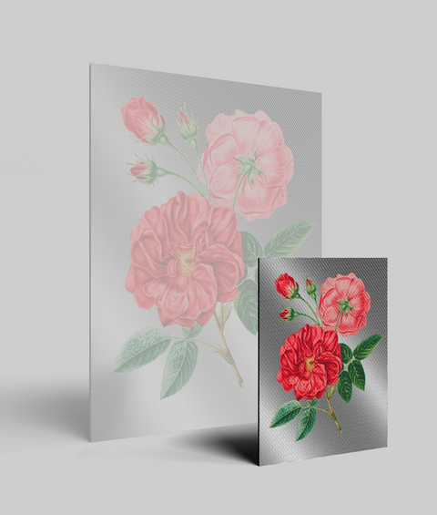 Rose Vintage - Quadro di Design