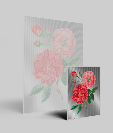 Rose Vintage - Quadro di Design