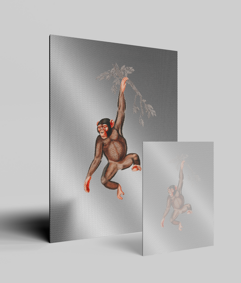 Scimmia Vintage - Quadro di Design