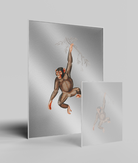 Scimmia Vintage - Quadro di Design