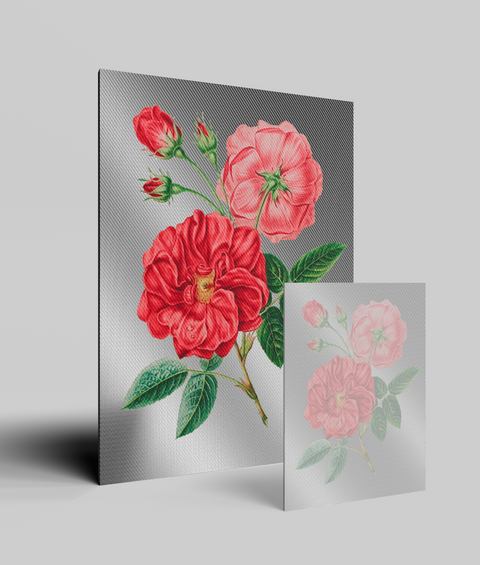 Rose Vintage - Quadro di Design