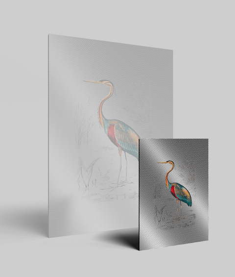 Airone Vintage - Quadro di design