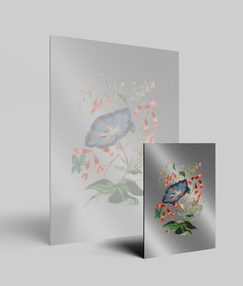Bouquet Vintage - Quadro di Design
