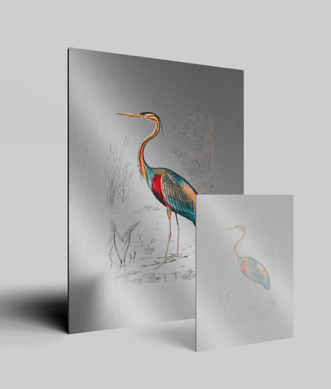Airone Vintage - Quadro di design
