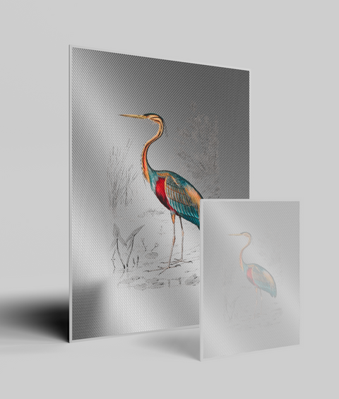 Airone Vintage - Quadro di design