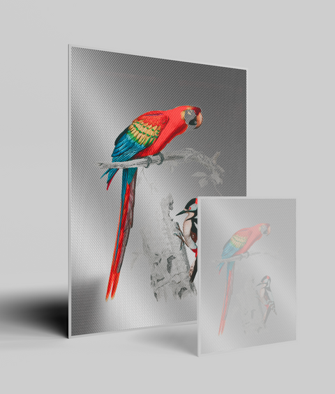 Pappagallo e Picchio Vintage - Quadro di Design