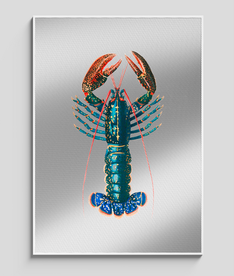 Aragosta Vintage - Quadro di Design