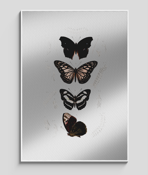 Farfalla Vintage - Quadro di Design