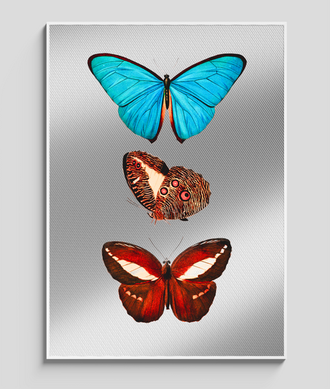 Farfalle Vintage V.1 - Quadro di Design