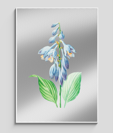 Hosta Vintage - Quadro di Design