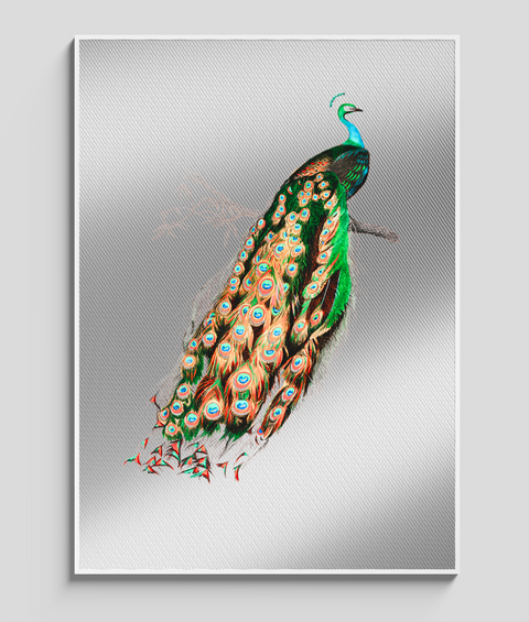 Pavone Vintage - Quadro di Design