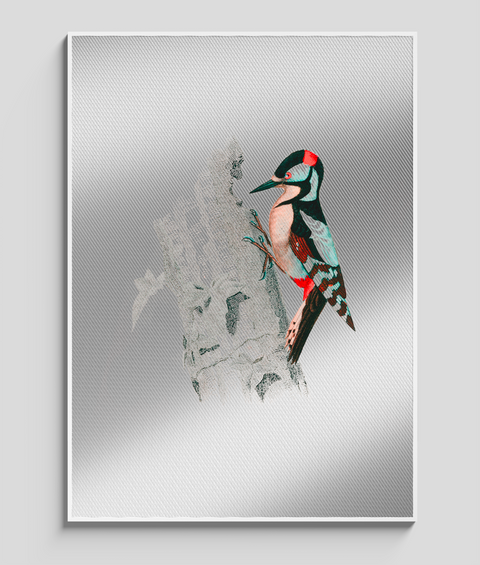 Picchio Vintage - Quadro di Design