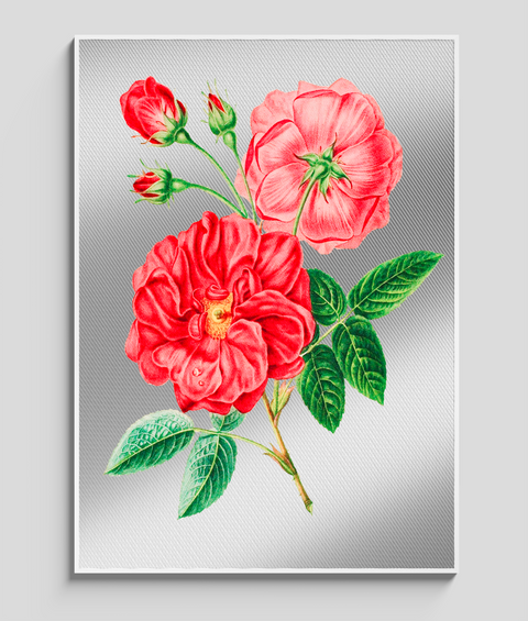 Rose Vintage - Quadro di Design