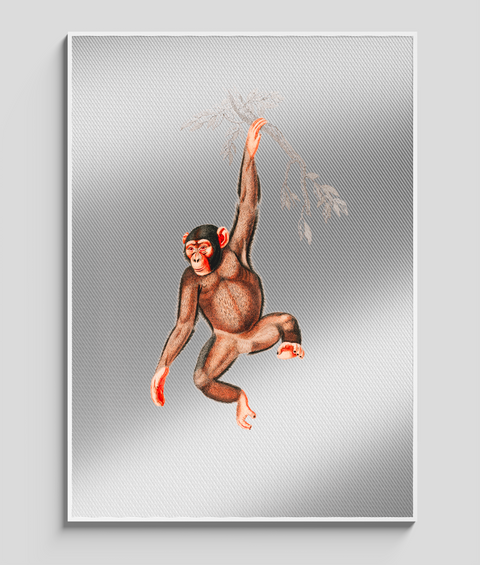 Scimmia Vintage - Quadro di Design