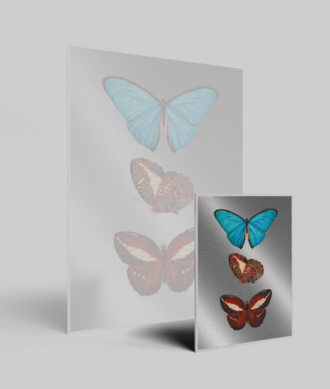 Farfalle Vintage V.1 - Quadro di Design