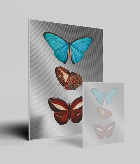 Farfalle Vintage V.1 - Quadro di Design