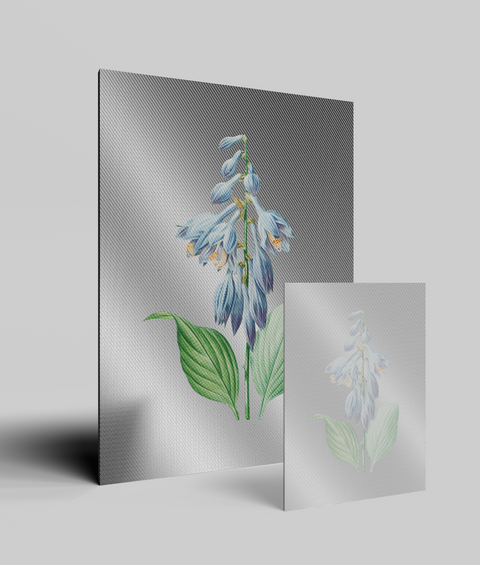Hosta Vintage  - Quadro di Design