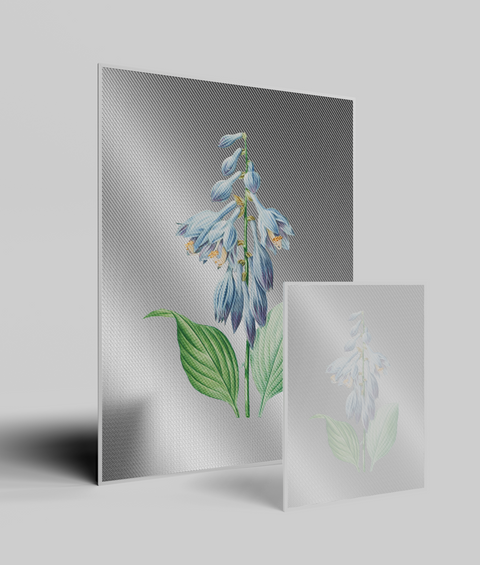 Hosta Vintage  - Quadro di Design