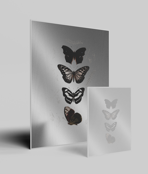 Farfalla Vintage - Quadro di Design
