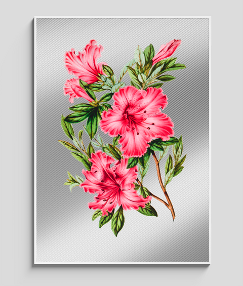 Azalea Vintage  - Quadro di Design