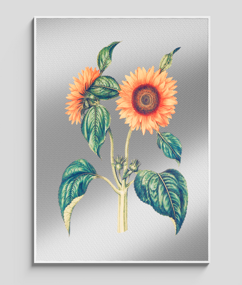 Girasole Vintage  - Quadro di Design