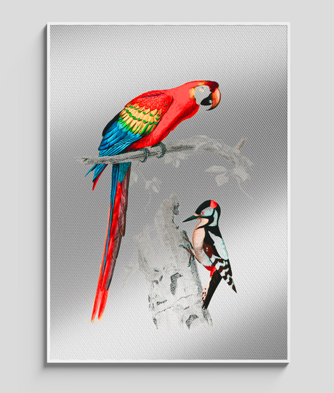 Pappagallo e Picchio Vintage - Quadro di Design